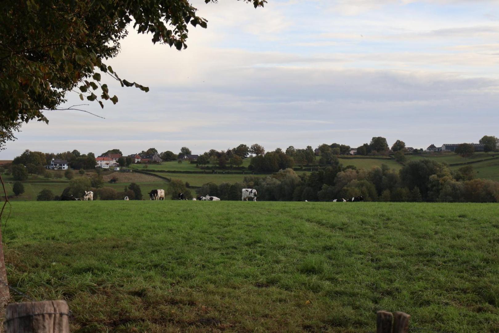 Puur Mechelen Villa Bagian luar foto